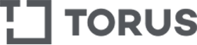 logo torus